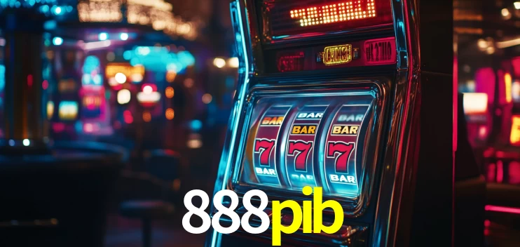 Premium Interface 888pib